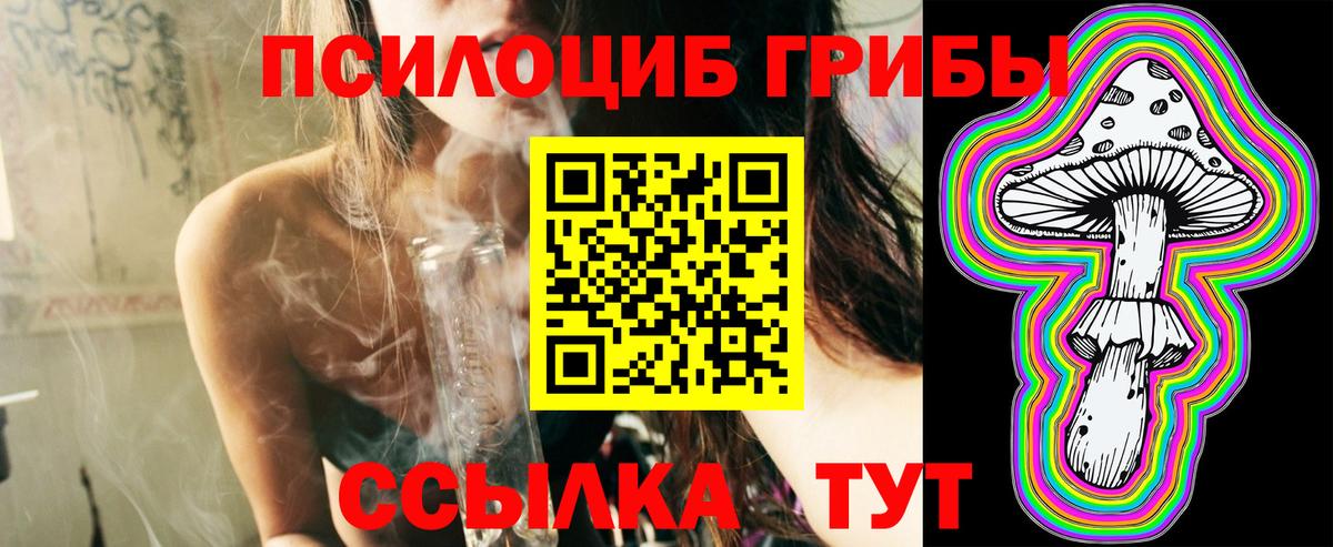 Псилоцибиновые грибы Psilocybe  Вход с VPN  Магадан 