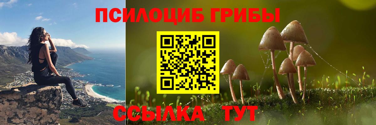 Галлюциногенные грибы мухоморы Магадан